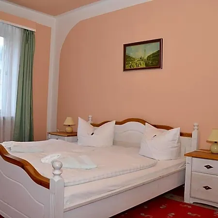 Hotel Central Отель Бад-Эльстер