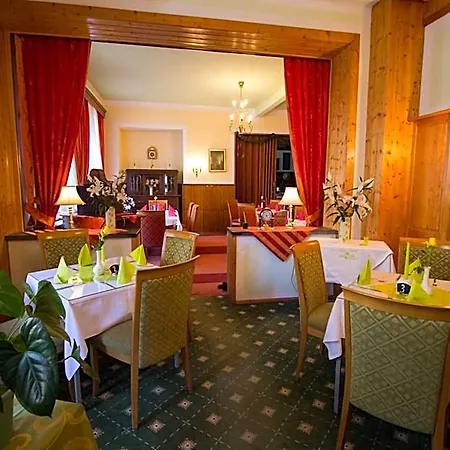 Hotel Central Бад-Эльстер
